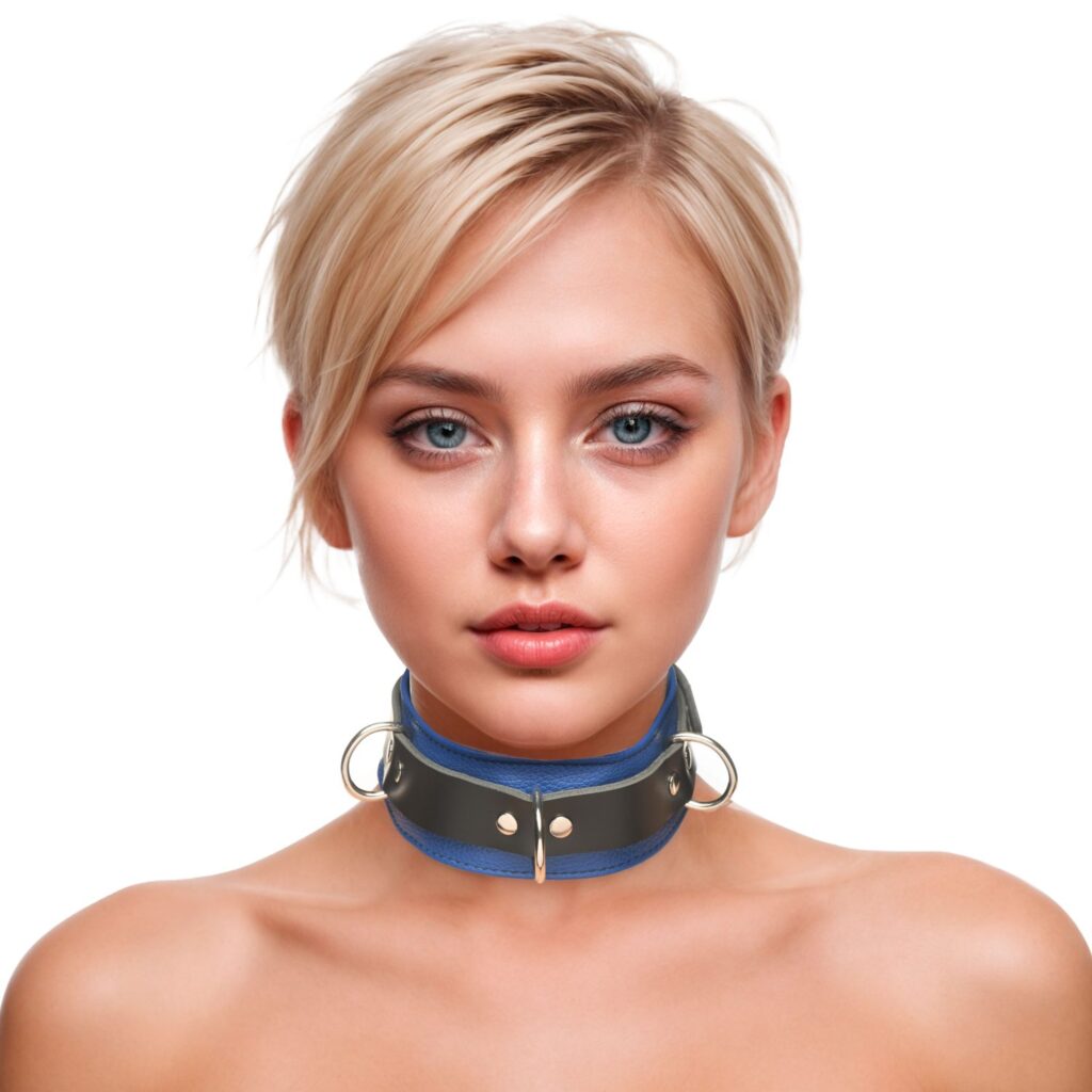Strict Leather Deluxe Locking Collar – Blue and Black